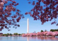 2024年04月03日発ボストン･ニューヨーク･ワシントンＤＣ アメリカ東部縦断と全米桜祭りの旅　10日間