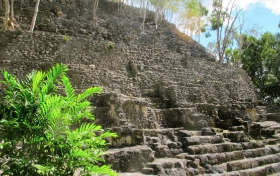 Column『マヤ文明最大の遺跡《 エル･ミラドール 》から考える 　マヤ文明史に関する一考察』