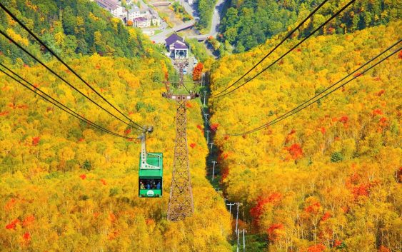2022/09/25発大雪山の日本一早い紅葉と秋の美食の旅 5日間