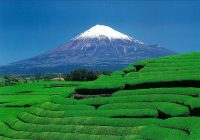2024年05月08日(水)発富士山を360度楽しむ春の絶景 6日間
