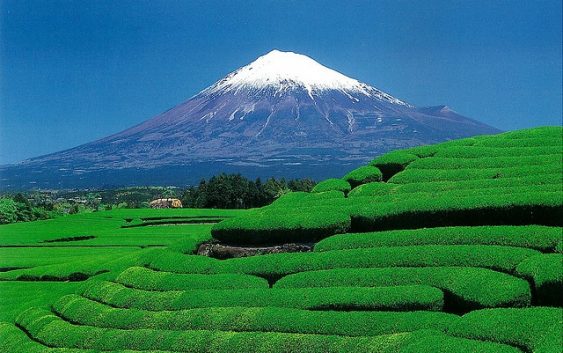 2023年05月09日発富士山を360度楽しむ春の絶景 6日間【催行決定/キャンセル待ち】